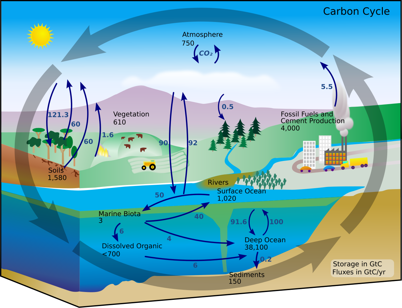 Carbon_cycle-cute_diagram.svg.png